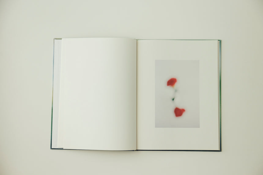 私は絵が描けない | I can't draw a painting / 北岡稔章