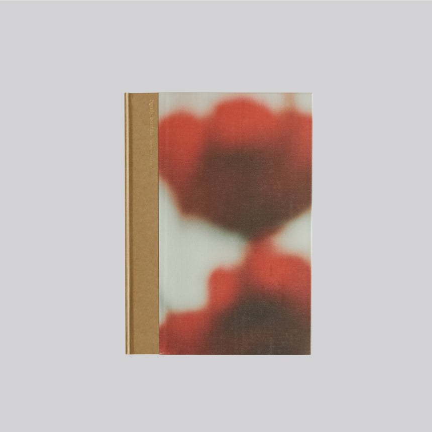 Equally, beautiful / 北岡稔章
